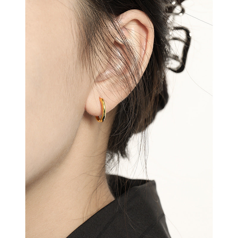 Casual Simple Geometry Circle Earrings